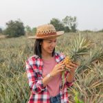 kobieta na farmie ananasow