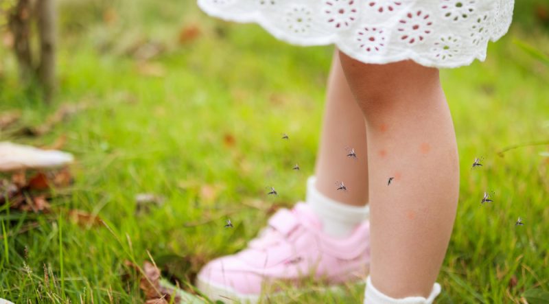 komary przy nogach dziecka