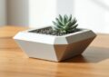 Doniczka DIY z betonu z sukulentem - minimalistyczny design w stylu skandynawskim