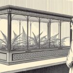 Historyczne terrarium Wardian case z XIX wieku, pokazujące jak zrobić ogródek w słoiku w dawnych czasach